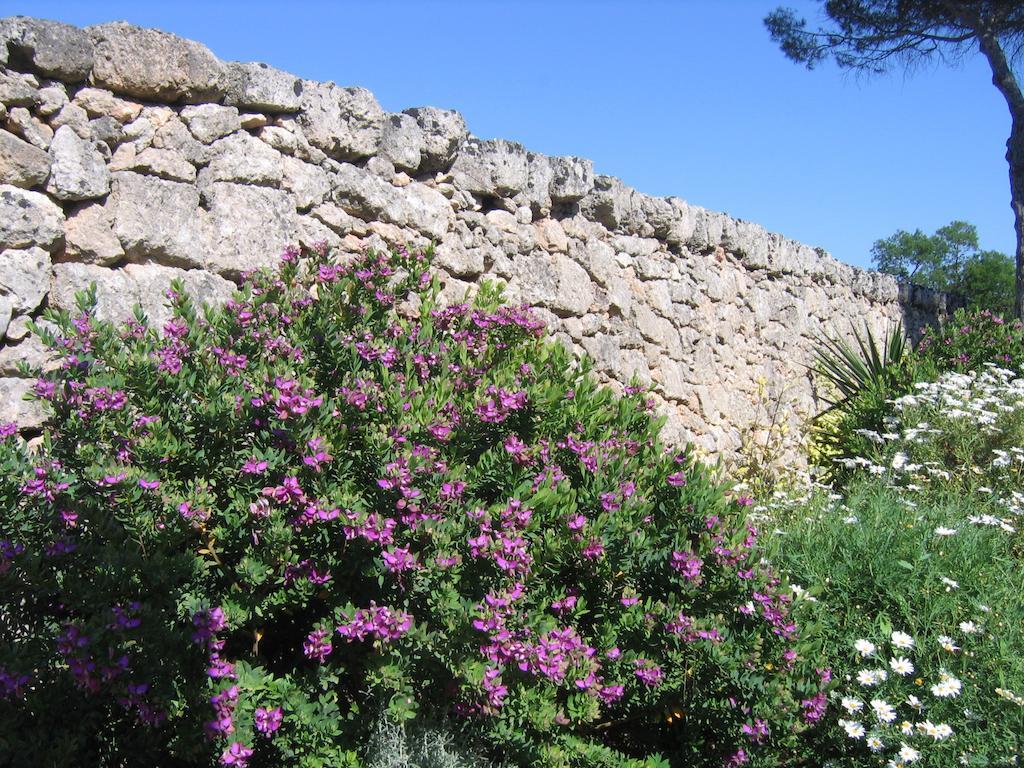Masseria Pagani Nardò Zewnętrze zdjęcie