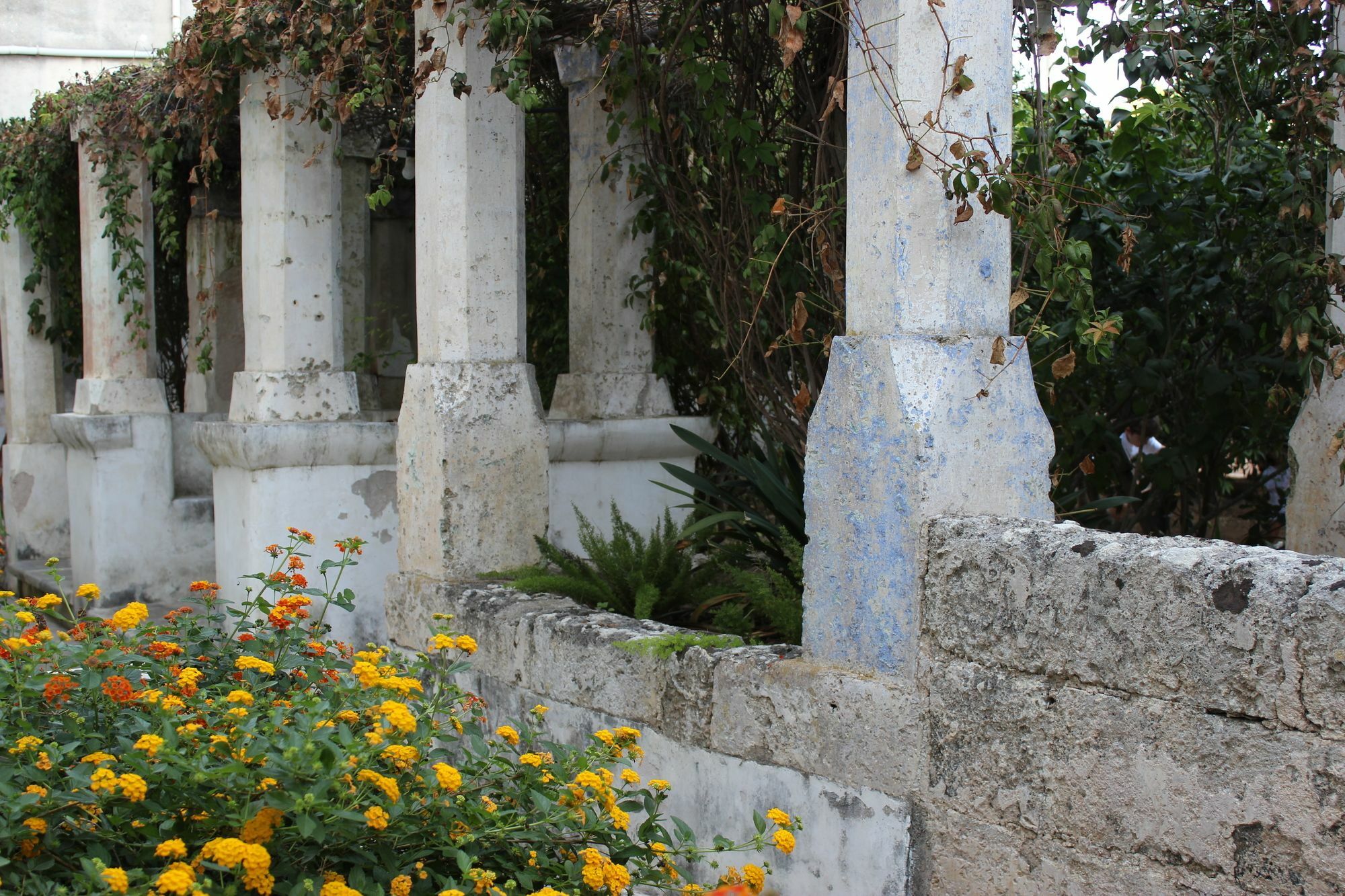 Masseria Pagani Nardò Zewnętrze zdjęcie